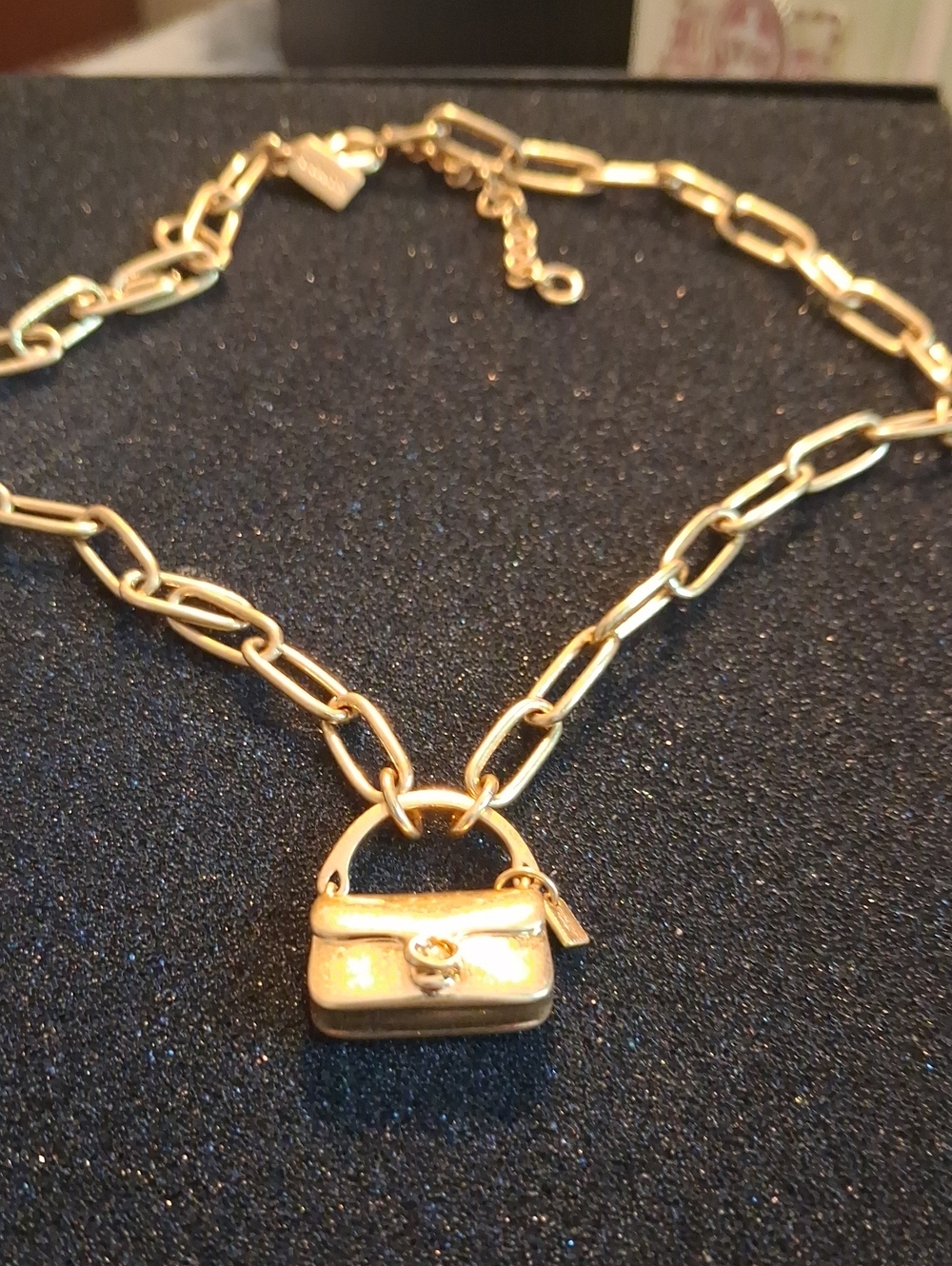 Coach Gold-Tone Chain Necklace with Purse Charm